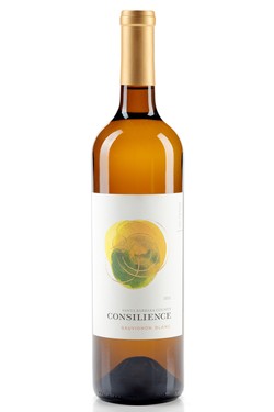 2022 Consilience Sauvignon Blanc - Santa Barbara County