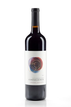 2021 Consilience Cabernet Franc - Santa Barbara County