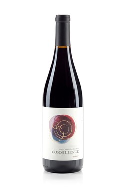 2021 Consilience Syrah - SBC